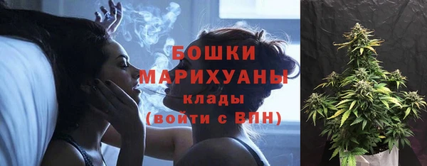 PSILOCYBIN Белокуриха