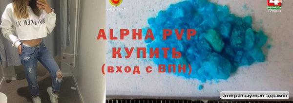 PSILOCYBIN Белокуриха