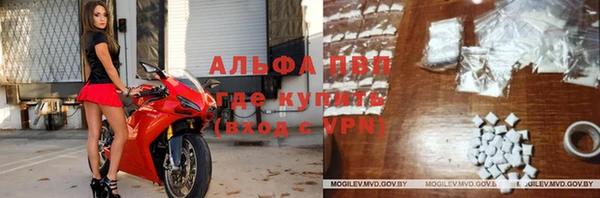 PSILOCYBIN Белокуриха